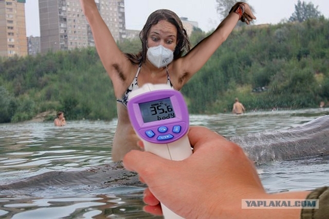 А давайте пожабим эту деваху