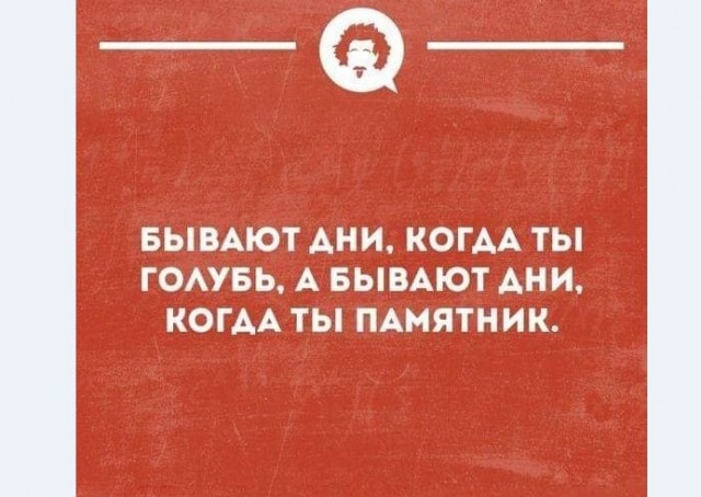 Картинки и мемы для настроения 021