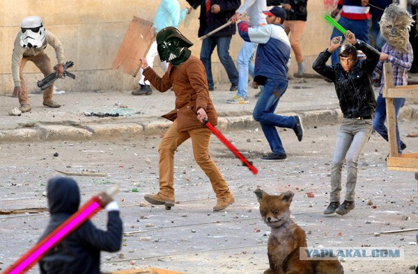 Фотожаба: Дискотека "Египет"