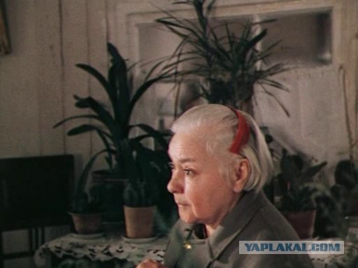 Кинокадры