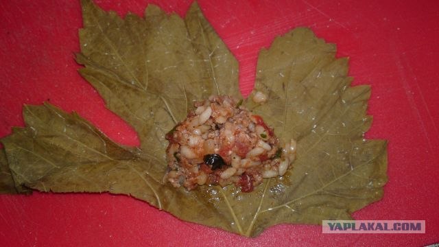 Долма с двуми начинками.