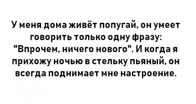 Алкопост 5.11.21