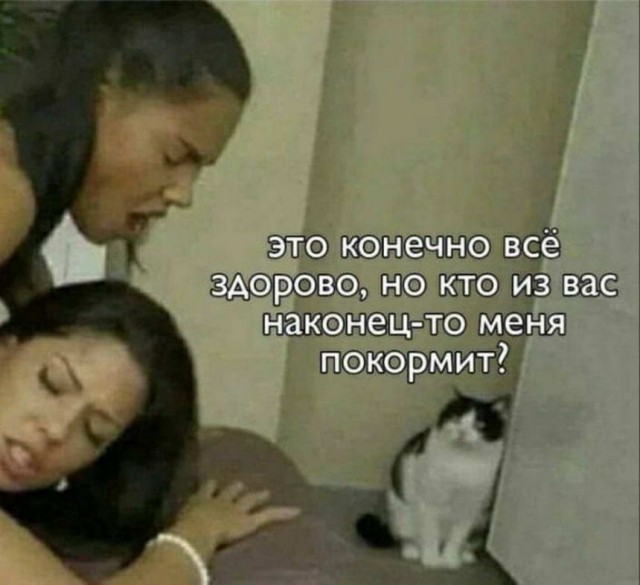 Пятница. И немного слегка пошлых картинок с надписями и без 16+ (10.12)