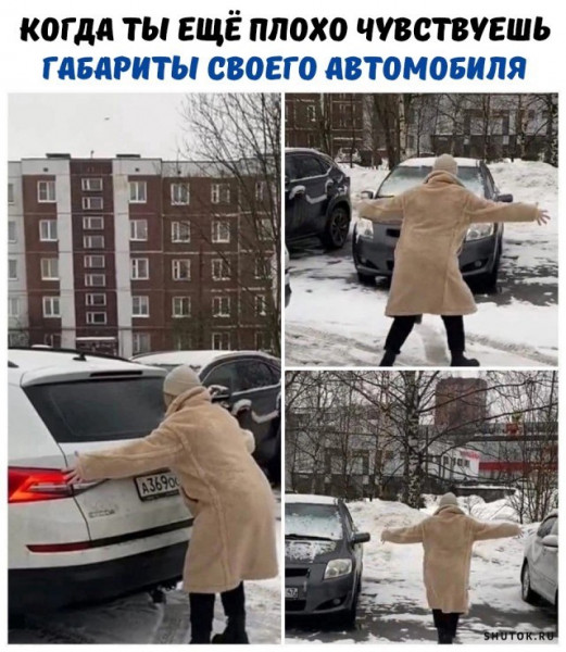 16530324.jpg
