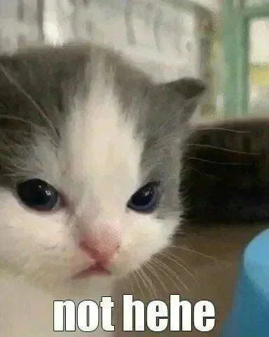 Троллинг котейки