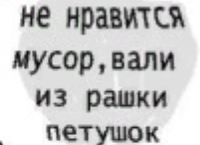 Общество