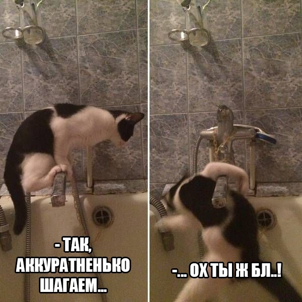 Так себе картинки 19.04.22