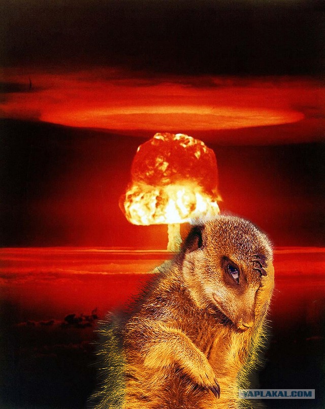 С пятничкой вас