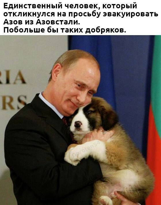 Пандемия. Коронавирус и съехавшие крыши. Россия и мир. Часть 34.