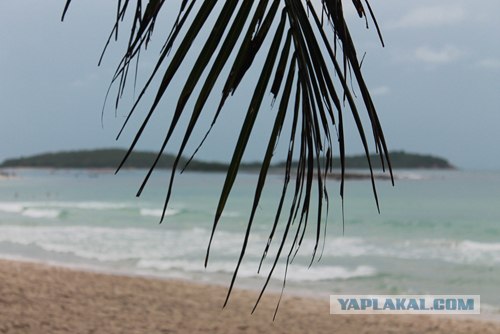 Такой разный остров Самуи