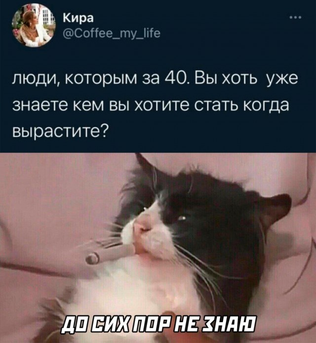 Весёлый полтишок 08.08.22