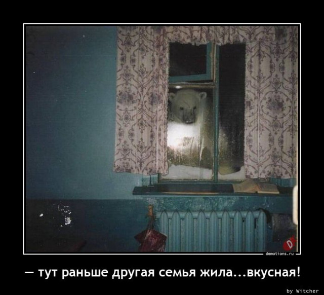 50 оттенков серого или самосвал баянов. Vol.22 50 фото