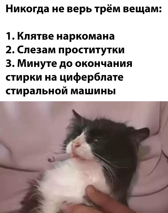 Картинки и мемы, всем хороших выходных