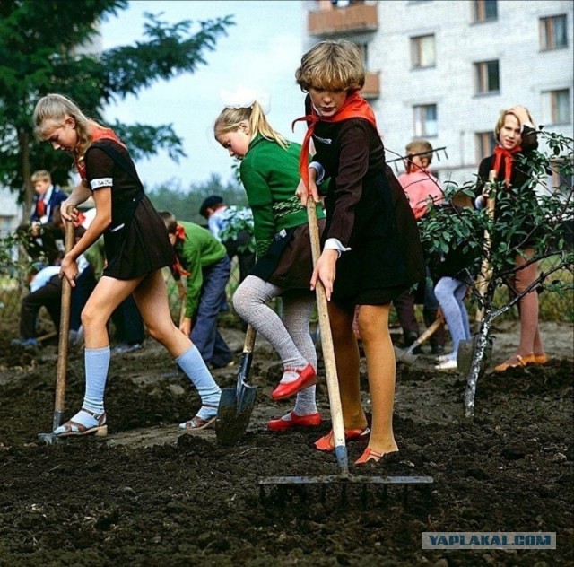 Фотохроника "загнивающего совка"