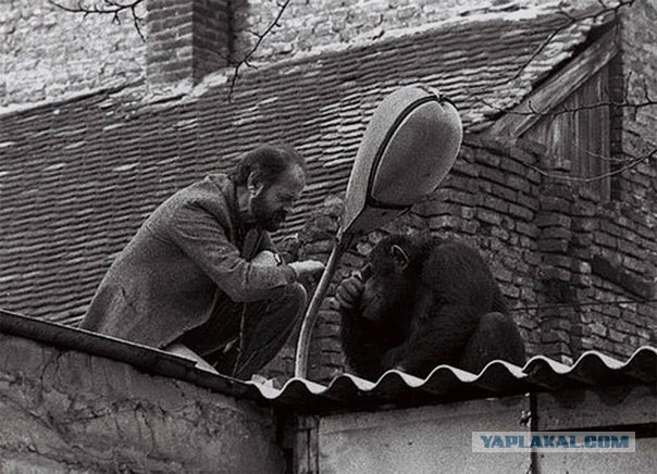 Интересные и редкие ретро-фотографии 12.12.22