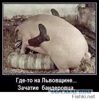 Операция возмездия!