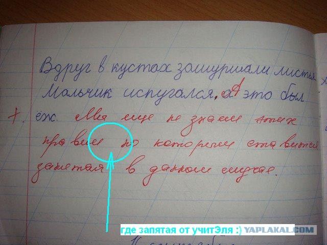 В этом суть реформы образования?