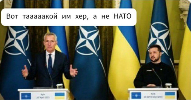 «Что?»