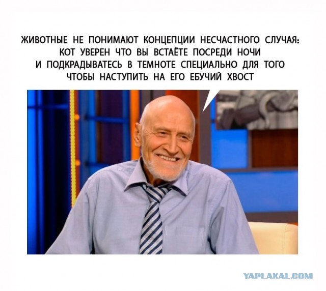 Всякой Хни вам в ленту, дорогие деграданты