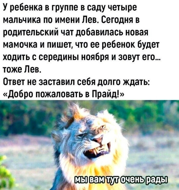 Всякая всячина