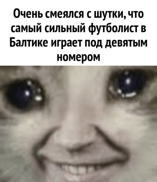 Всего понемногу. От 19.01.24