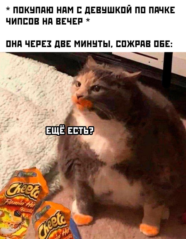 Весёлый полтишок 22.04.24