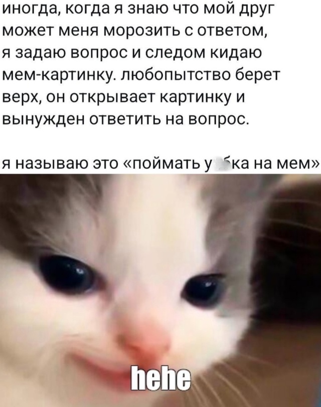 Весёлый полтишок 22.07 24