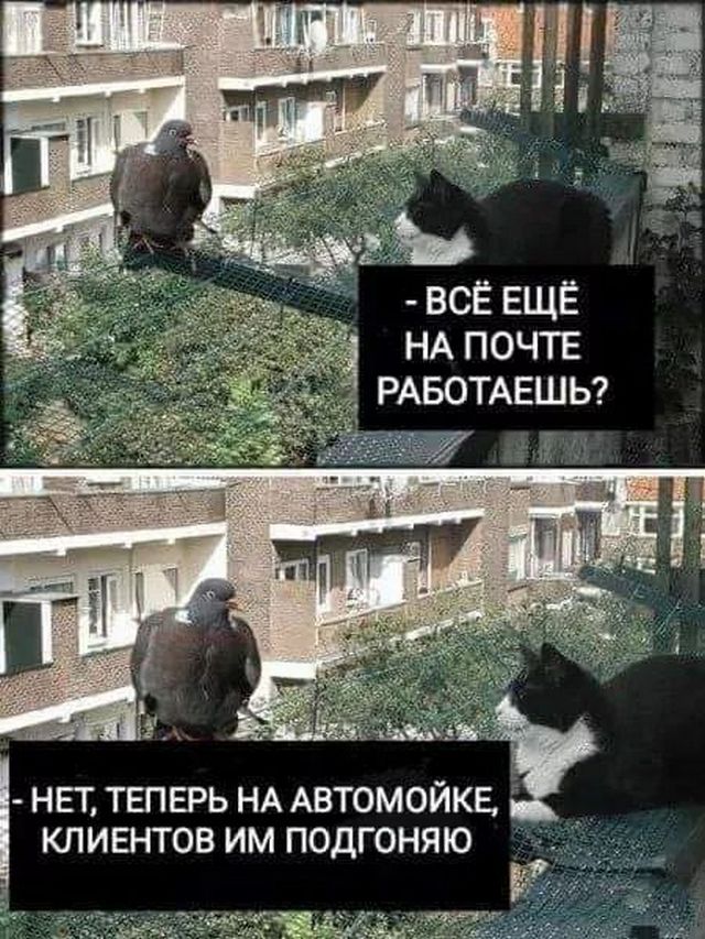 Завалялось тут случайно немного забавных картинок