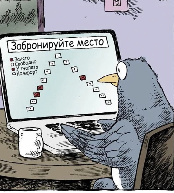 Так себе картинки 14.11.24