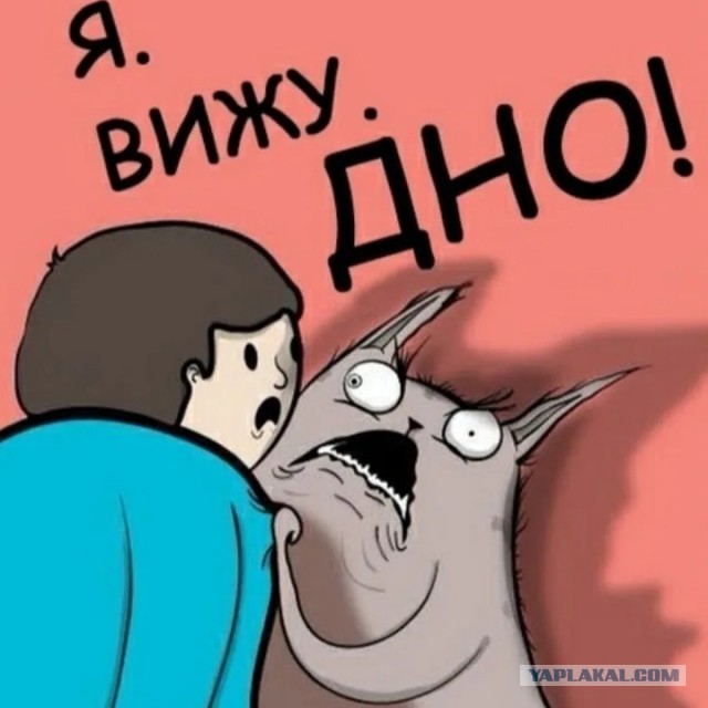 В Калининградской области начнут выдавать социальные продуктовые карты