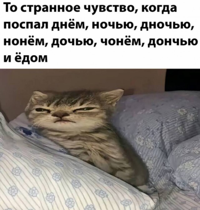 Шрус на вишнёвой поляне