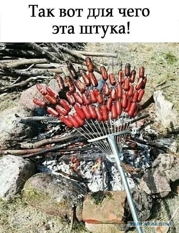 Юмор для тех, кто уже повзрослел и понял, что выходные — это миф