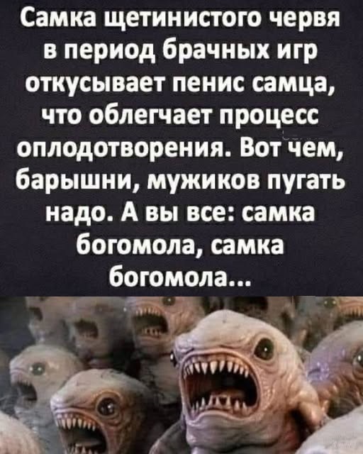 Картинки разные с надписями и без