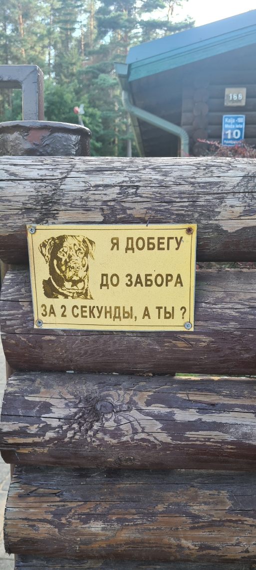 Надписи, объявления и прочая дичь
