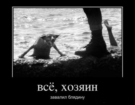 Охладись