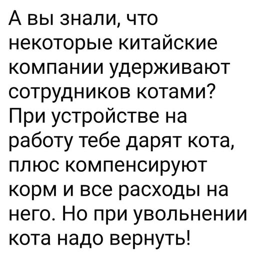 Пошлый и взрослый юмор #7