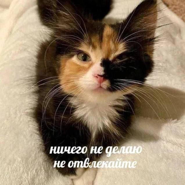 Небаянистая деградация 7
