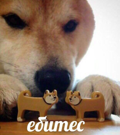 Супруга изменила