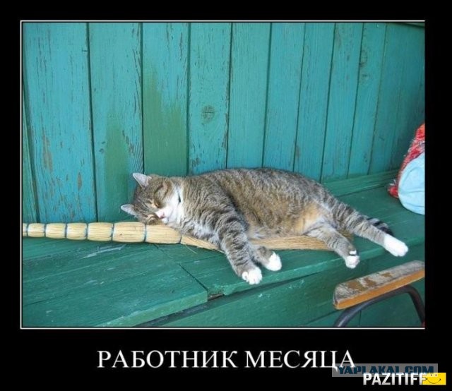 Комбо