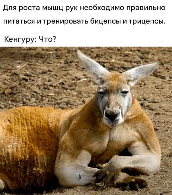 Огромная сила обезьян,как это работает?