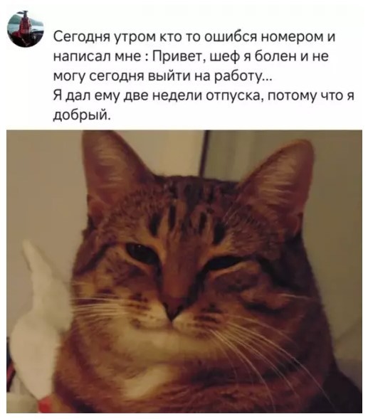 Картиночки, баянчики 10 июня