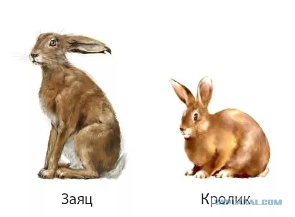 Охреневшие