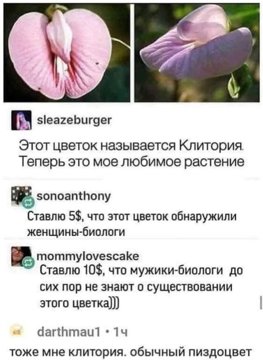 Веселое настроение в картинках 26.07.26