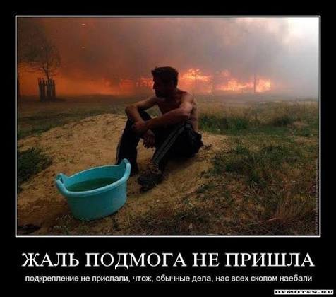 Регбус. Кроксворд...
