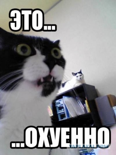 Парень не растерялся.