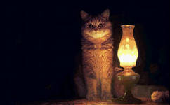 Коты ученых