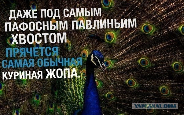 Русские создали свой Феррари! Tagaz Aquila