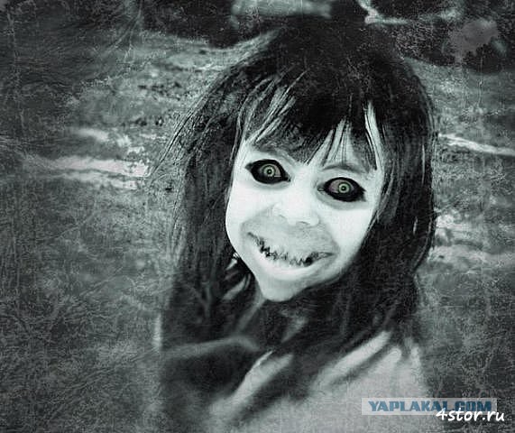 Черный волк