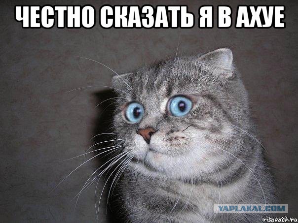 Паразиты нашей страны
