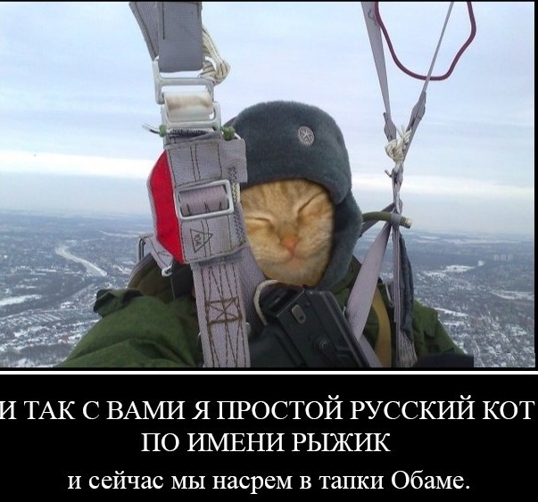 Вот это я понимаю селфи.